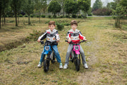 2026 36V Electric Dirt Bike For Teens with 350W Powerful Silent Motor
