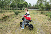 2026 36V Electric Dirt Bike For Teens with 350W Powerful Silent Motor
