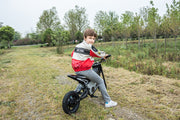 2026 36V Electric Dirt Bike For Teens with 350W Powerful Silent Motor