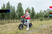 2026 36V Electric Dirt Bike For Teens with 350W Powerful Silent Motor