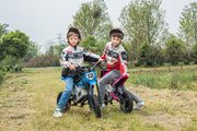 2026 36V Electric Dirt Bike For Teens with 350W Powerful Silent Motor
