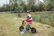 2026 36V Electric Dirt Bike For Teens with 350W Powerful Silent Motor