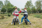 2026 36V Electric Dirt Bike For Teens with 350W Powerful Silent Motor