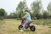 2026 36V Electric Dirt Bike For Teens with 350W Powerful Silent Motor