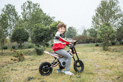2026 36V Electric Dirt Bike For Teens with 350W Powerful Silent Motor