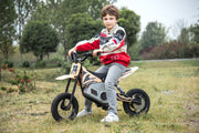 2026 36V Electric Dirt Bike For Teens with 350W Powerful Silent Motor