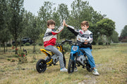 2026 36V Electric Dirt Bike For Teens with 350W Powerful Silent Motor