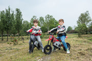 2026 36V Electric Dirt Bike For Teens with 350W Powerful Silent Motor