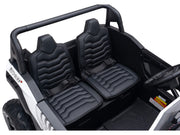 2026 XXL Dune Buggy XR 24V/180W Ride-On Buggy, 180W Brushless Motor, Inflatable Tires, Without RC