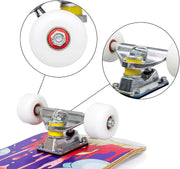 Complete Skateboards for Beginners Adults Teens Kids Girls Boys 31"x8" Skate Boards 7 Layers Deck Maple Wood Longboards (Desire)