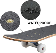 JECOLOS Pro Complete Skateboards for Beginners Adults Teens Kids Girls Boys 31"x8" Skate Boards 7 Layers Deck Maple Wood Longboards (Peacock)