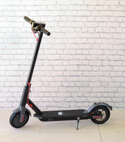 36V Venice Electric  Scooter Goes Over 25KM Per Hour!