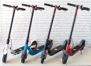36V Venice Electric  Scooter Goes Over 25KM Per Hour!
