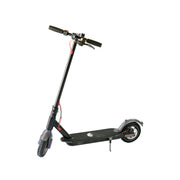 36V Venice Electric  Scooter Goes Over 25KM Per Hour!