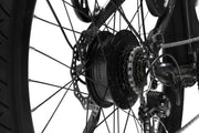 Best E-Bike Magnum Cosmo S Metallic Black