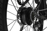 Best E-Bike Magnum Cosmo S Champagne