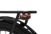 Best E-Bike Magnum Cosmo S Champagne