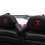 2023 Lamborghini Veneno 24V (2x12V) Ride On Cars 4x4 Upgraded Leather Seats Rubber Tires with Remote Control