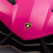 2023 Lamborghini Veneno 24V (2x12V) Ride On Cars 4x4 Upgraded Leather Seats Rubber Tires with Remote Control
