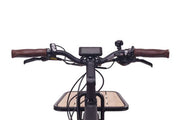 Best E-Bike Magnum Payload Black
