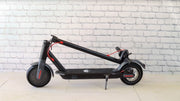 36V Venice Electric  Scooter Goes Over 25KM Per Hour!