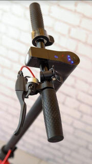 36V Venice Electric  Scooter Goes Over 25KM Per Hour!